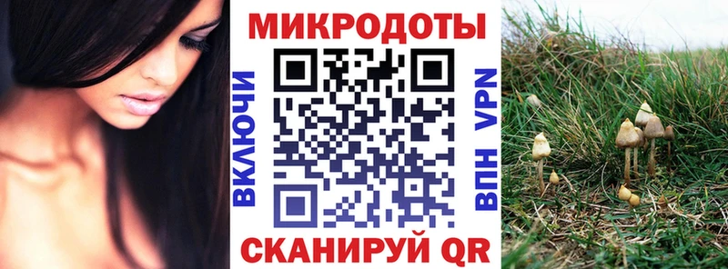 Купить где  Багратионовск  Галлюциногенные грибы Magic Shrooms 